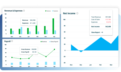 revenue, payroll, and net income reporting